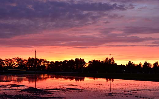 【先行予約】令和7年産 立山 天空の散歩道 吟撰米 特吟 精米 合計10kg 5kg×2袋 立山天空米 低温精米 国産 米 お米 日本米 ギフト 贈り物 備蓄 防災 食品 F6T-761
