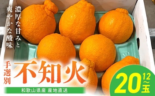 【和歌山県有田郡湯浅町】BL6104n_【2026年先行予約】和歌山県産 不知火 12玉〜20玉
