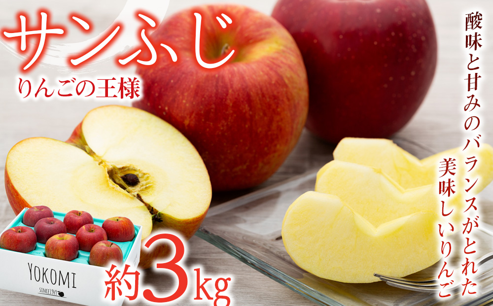 [2025年/令和7年度発送分 ]信州のりんご サンふじ 約 3kg りんご リンゴ 林檎 長野 フルーツ 果物 信州産 長野県産 特産 産地直送 おすすめ