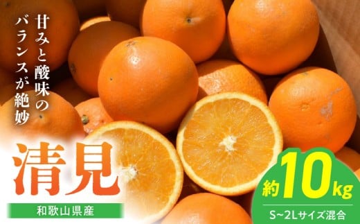 【和歌山県有田郡湯浅町】BL6105n_【2026年先行予約】和歌山県産 清見 10kgサイズ混合