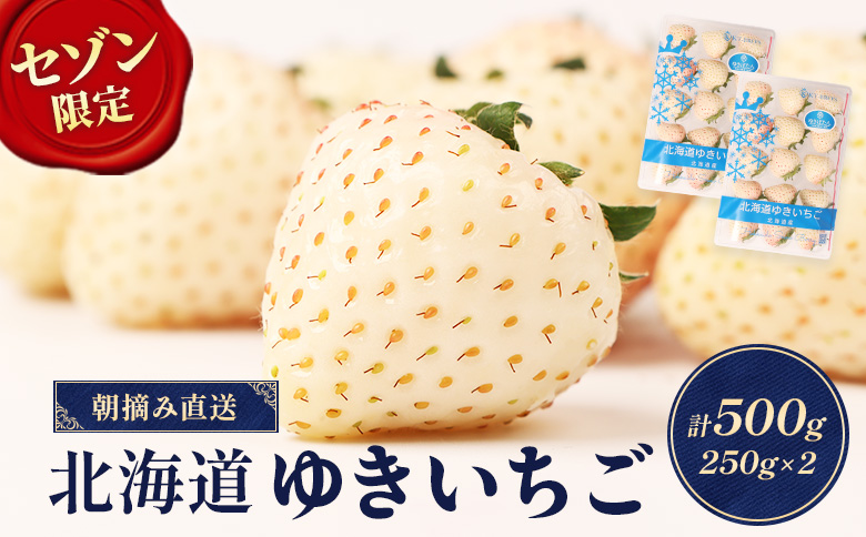 【セゾン限定】【12月以降、随時発送！】【