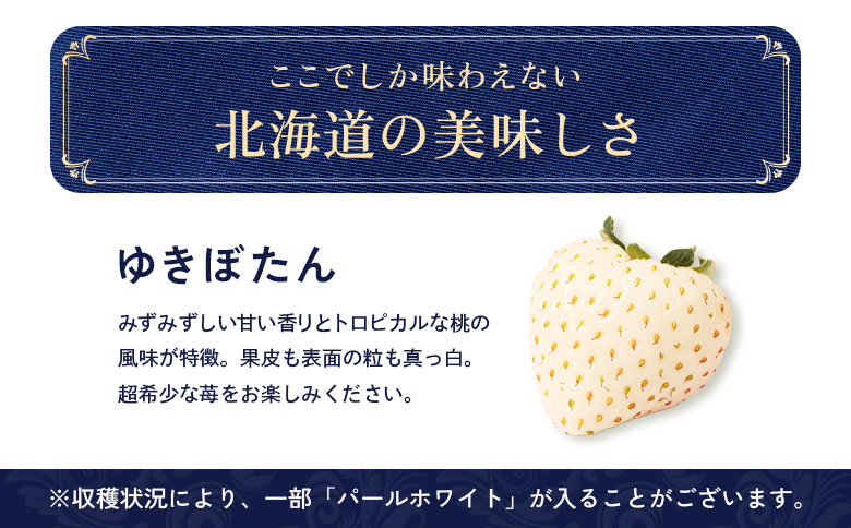 北海道中標津町のふるさと納税 【セゾン限定】【12月以降、随時発送！】【北海道産】ゆきいちご（白いちご） 2Pセット 250g×2 計500g【59004】