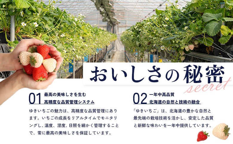 北海道中標津町のふるさと納税 【セゾン限定】【12月以降、随時発送！】【北海道産】ゆきいちご（白いちご） 2Pセット 250g×2 計500g【59004】