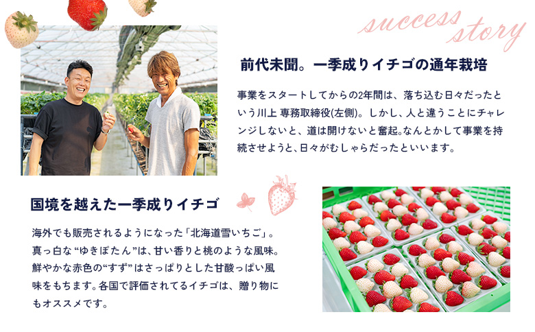 北海道中標津町のふるさと納税 【セゾン限定】【12月以降、随時発送！】【北海道産】ゆきいちご（白いちご） 2Pセット 250g×2 計500g【59004】