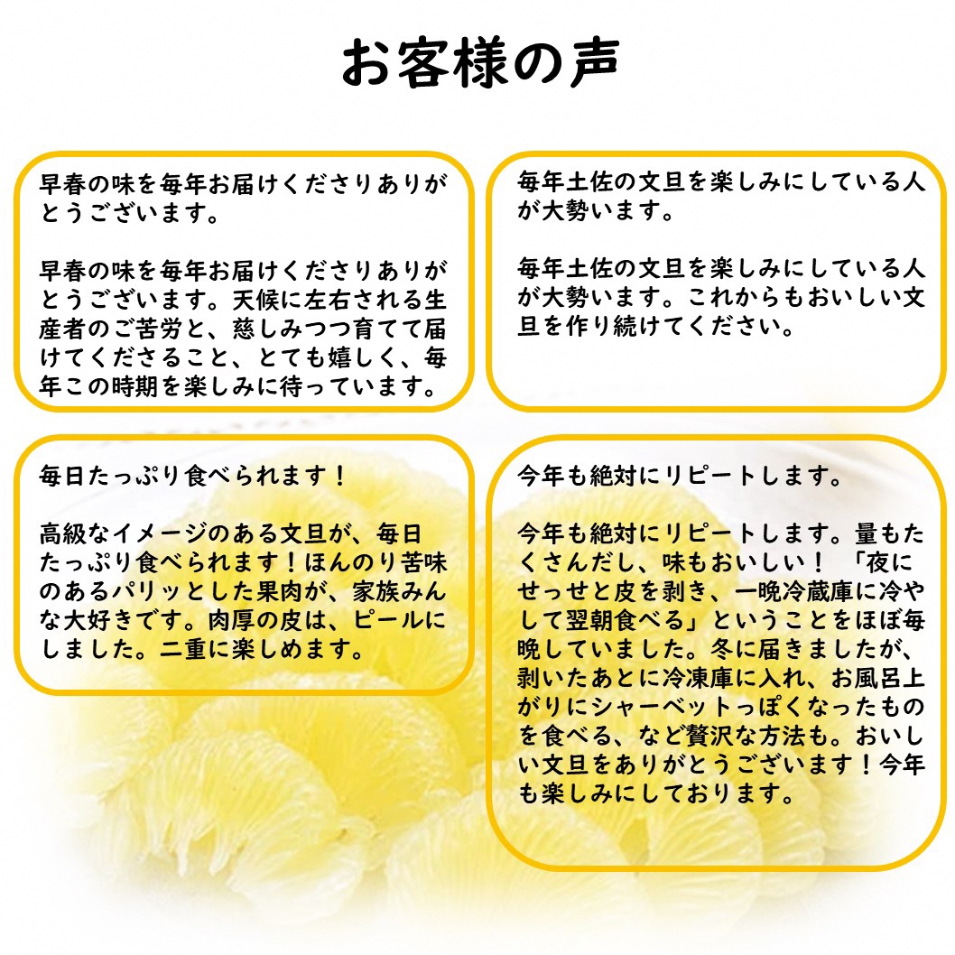 生産者直送　土佐文旦9.5kg[2L～4L]