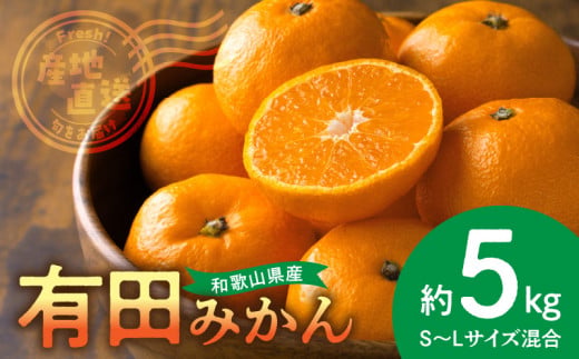 BL6500_産地直送　和歌山県産 有田みかん 5kg