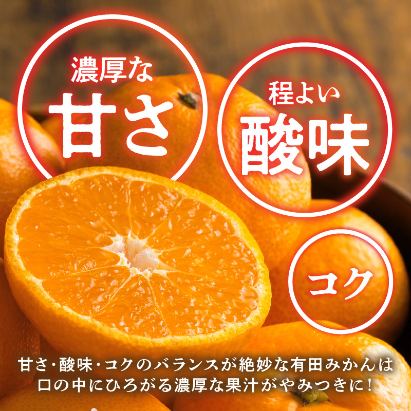 BL6500_産地直送　和歌山県産 有田みかん 5kg