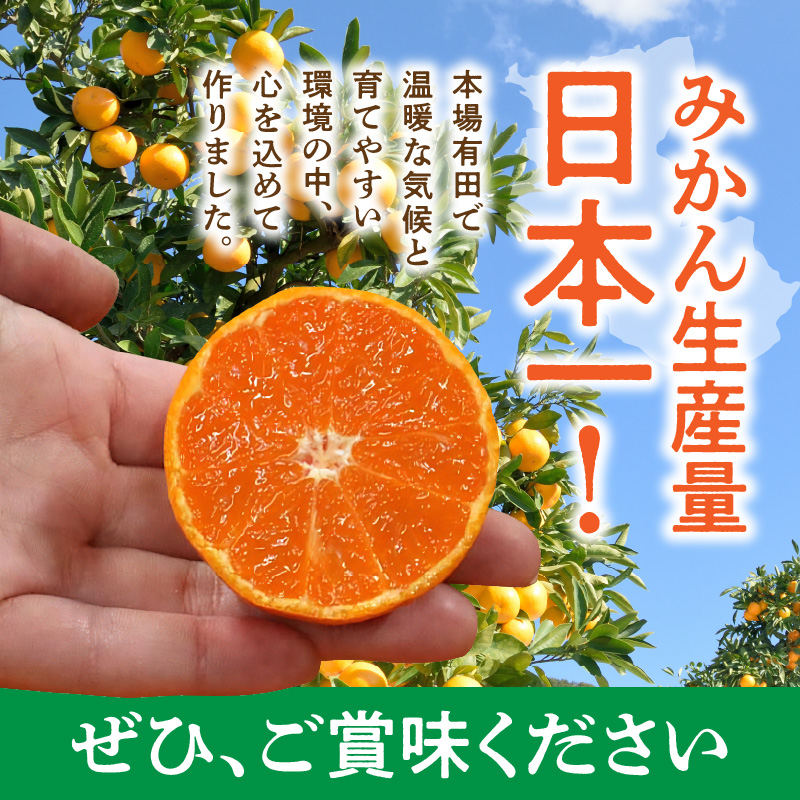 BL6500_産地直送　和歌山県産 有田みかん 5kg