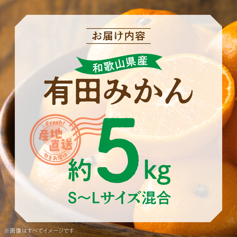 BL6500_産地直送　和歌山県産 有田みかん 5kg