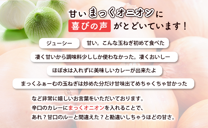 2026年秋発送 梨同等の甘さ！ジューシーで甘い玉ねぎ Lサイズ  約20kg まっくオニオン 玉ねぎ 北海道 富良野 野菜 玉葱 タマネギ