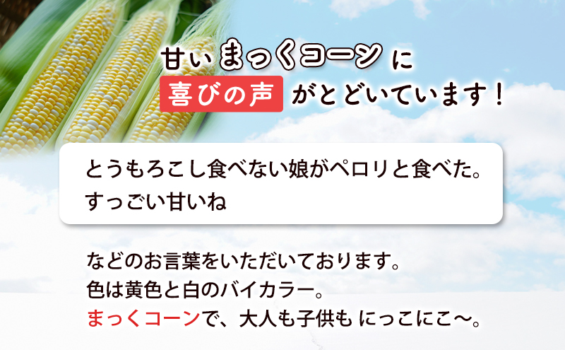 2026年発送 富良野産  生のまま食べれる！とうもろこし まっくコーン　11本　北海道 富良野市 とうきび とうもろこし 旬 季節 ふらの 甘い コーン