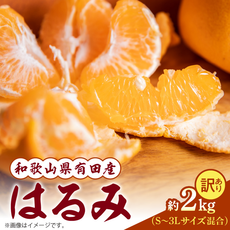 ZY6400_Y_【直営限定】果樹園紀の国 有田みかんジュース飲み比べセット