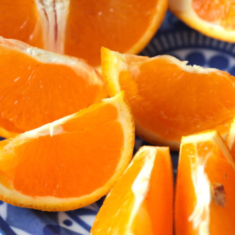 ZD7005_【2026年先行予約】【濃厚】有田産清見オレンジ約5kg（サイズおまかせ・青秀以上）