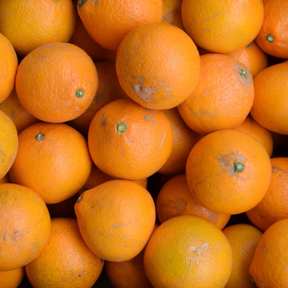 ZD7006_【2026年先行予約】【ご家庭用】濃厚有田産清見オレンジ約5kg（サイズおまかせ）