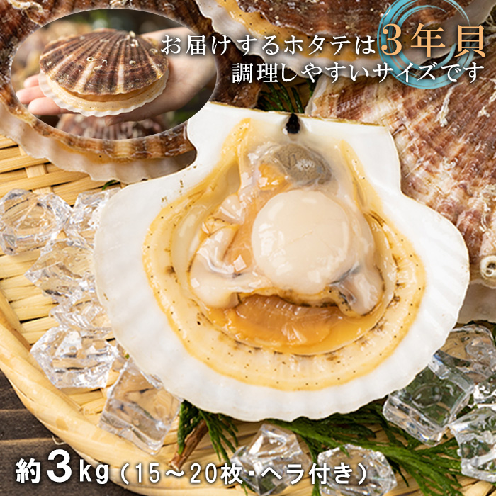 北海道羽幌町のふるさと納税 【予約受付開始！】北海道 羽幌町産 殻付き活ホタテ 約3kg（15～20枚・ヘラ付き）【0910203】