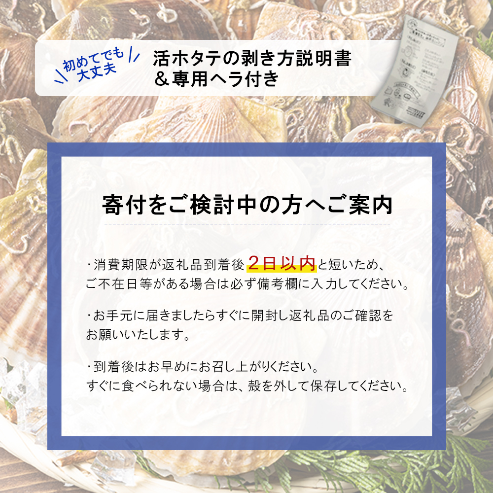 北海道羽幌町のふるさと納税 【予約受付開始！】北海道 羽幌町産 殻付き活ホタテ 約3kg（15～20枚・ヘラ付き）【0910203】