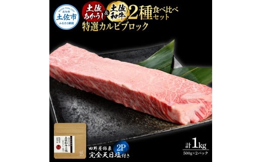 【高知県土佐市】土佐あかうし&土佐和牛2種食べ比べ 特選カルビブロック500g 計2P 田野屋銀象完全天日塩2P付 牛肉 肉 お肉 和牛 国産 牛 赤身 ヒレ カルビ ロース ブロック サーロイン 熟成肉