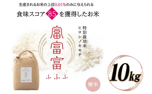 富山県ブランド米 富富富 10kg 精米 陽咲玲 富山県 立山町 F6T-532