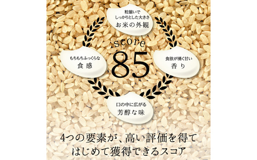 ≪先行予約≫富山県ブランド米 富富富 10kg 精米 陽咲玲 富山県 立山町 F6T-902