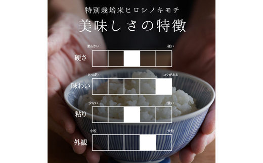 ≪先行予約≫富山県ブランド米 富富富 10kg 精米 陽咲玲 富山県 立山町 F6T-902