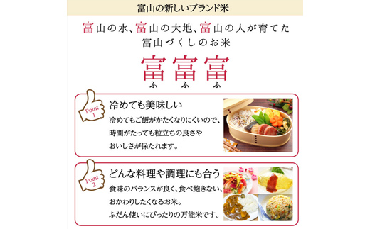 ≪先行予約≫富山県ブランド米 富富富 10kg 無洗米 陽咲玲 富山県 立山町 F6T-903