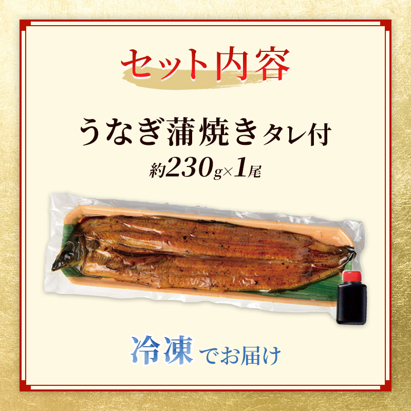 国産うなぎ 特大 蒲焼き 約230g前後 1尾 国産 うなぎ ウナギ 鰻 国産鰻 うなぎの蒲焼き ウナギの蒲焼 国産うなぎ蒲焼 国産鰻の蒲焼 魚 お魚 魚介 魚介類 海鮮 海鮮セット 惣菜 職人 手焼き ギフト 贈り物 プレゼント 福井 福井県 若狭町