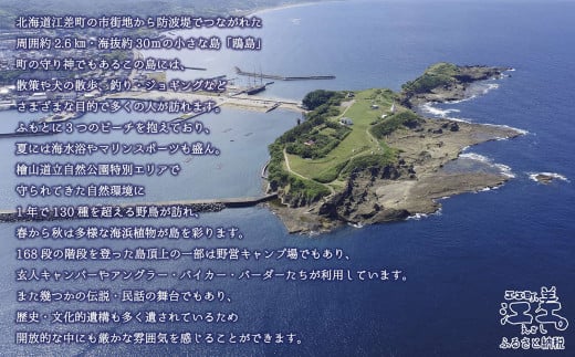 北海道江差町のふるさと納税 《かもめ島マリンピング2025》SUP体験［2名 基本コース60分］　サップ（パドルアウト）　ボード・パドル・ライフジャケットレンタル　町民インストラクターがサポート　アクティビティ　マリンスポーツ　海洋体験　檜山道立自然公園特別エリア