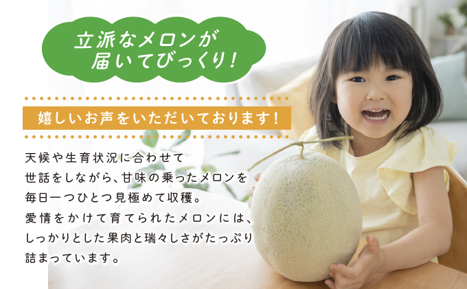 【2026年6月下旬～発送】ふらの 赤肉 メロン 3玉入 各2kg前後 北海道 富良野市 (相馬農園) メロン フルーツ 果物 新鮮 甘い 贈り物 ギフト 道産 ジューシー おやつ ふらの ブランド 夏 