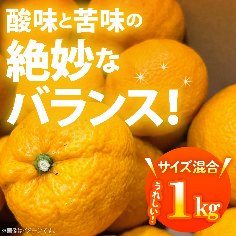 M.SIAMじゃばら果実 M.SIAMじゃばら果実 The Phantom Fruit] The