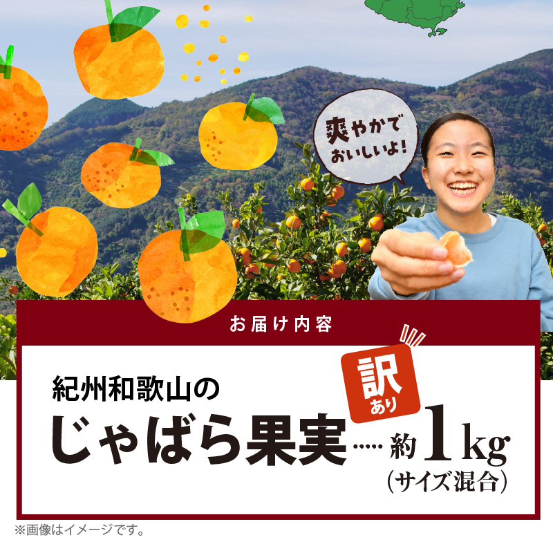 AB7033n_（国産）紀州和歌山の じゃばら 果実（訳あり ジャバラ 家庭用）1kg 国産 紀州 和歌山 じゃばら 果実 訳あり 家庭用