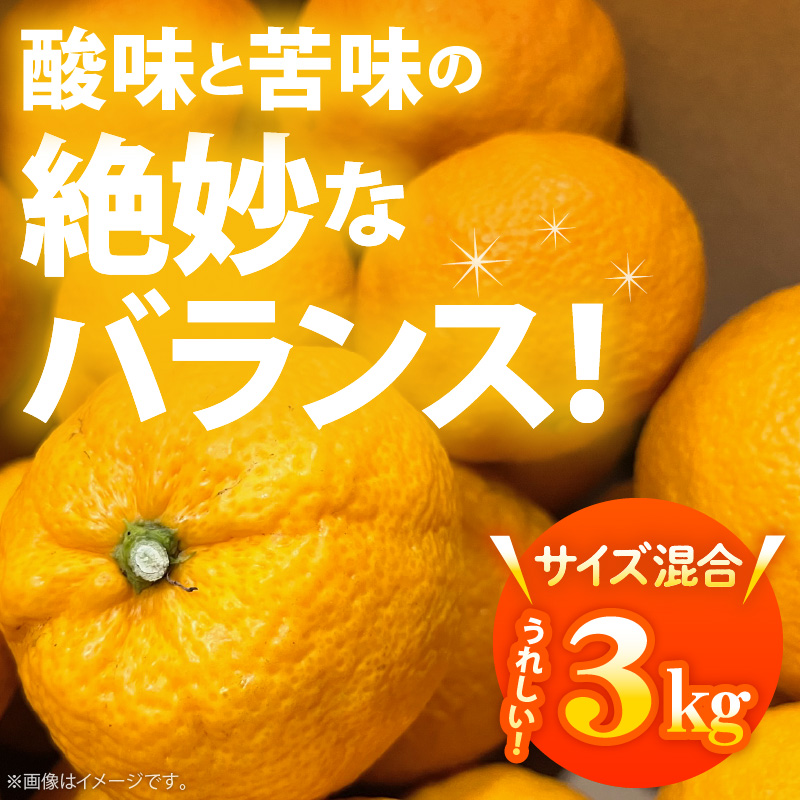 AB6013n_【国産】紀州和歌山の じゃばら 果実 【訳あり ジャバラ 家庭用】 3kg