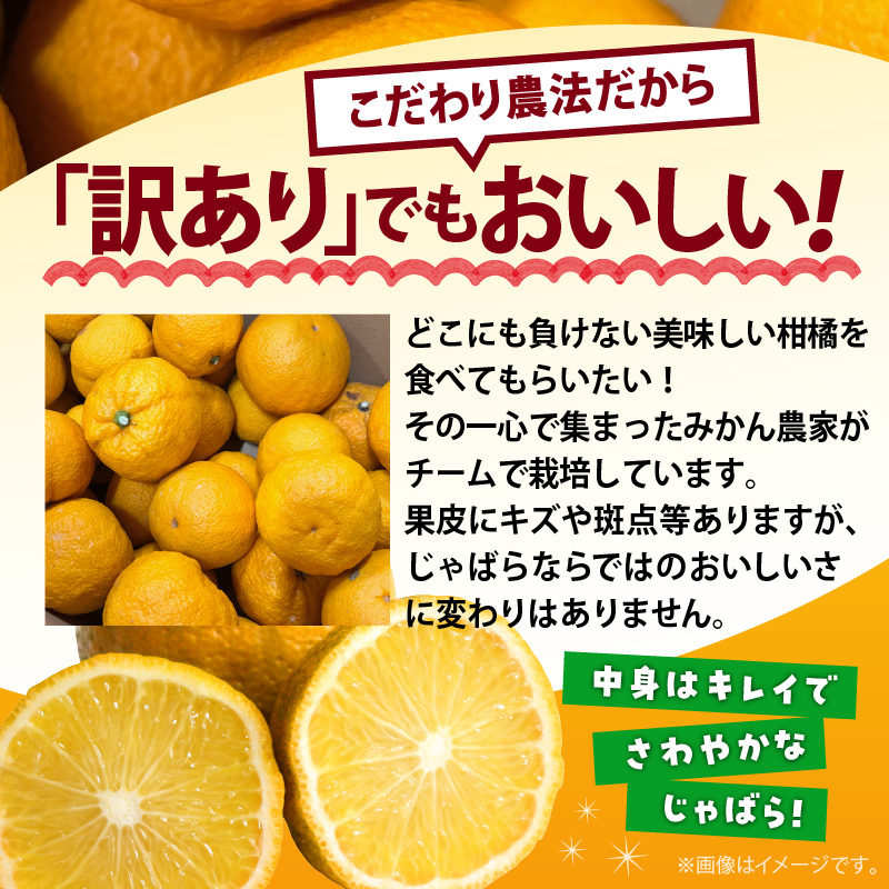 AB6013n_【国産】紀州和歌山の じゃばら 果実 【訳あり ジャバラ 家庭用】 3kg