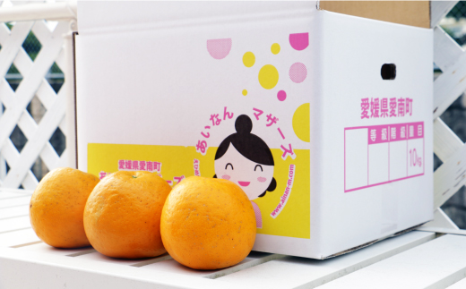 訳あり 紅 河内晩柑 大玉 （ 2L - 5L ） 10kg 7000円 みかん かわちばんかん 愛南ゴールド あいなん ゴールド 美生柑 文旦 グレープフルーツ 和製 幻 の 紅河内晩柑 紅晩柑 希少 家庭用 産地直送 国産 農家直送 糖度 果樹園 期間限定 数量限定 特産品 ゼリー ジュース 果汁 人気 限定 さわやか 甘い フルーツ 果物 柑橘 蜜柑 規格外 愛媛県 愛南町 あいなんマザーズ