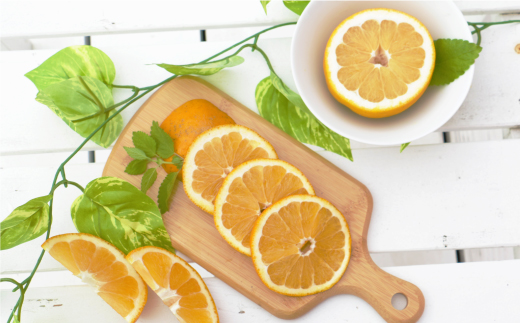 訳あり 紅 河内晩柑 （ S - L サイズ 混合 ） 10kg 7000円 みかん かわちばんかん 愛南ゴールド あいなん ゴールド 美生柑 文旦 グレープフルーツ 和製 幻 の 紅河内晩柑 紅晩柑 希少 家庭用 産地直送 国産 農家直送 糖度 果樹園 期間限定 数量限定 特産品 ゼリー ジュース 人気 限定 さわやか 甘い フルーツ 果物 柑橘 蜜柑 規格外 愛媛県 愛南町 あいなんマザーズ