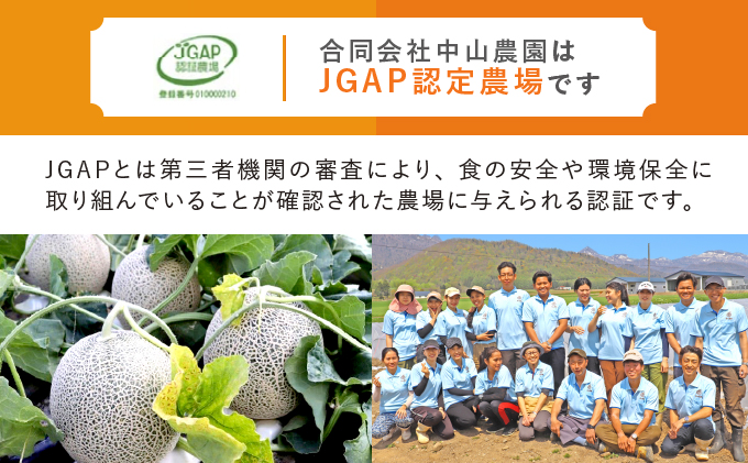 【2026年夏発送】北海道 富良野産 赤肉メロン 4～6玉 大箱8kg (中山農園) メロン フルーツ 果物 新鮮 甘い 贈り物 ギフト 道産 ジューシー おやつ ふらの ブランド 夏 