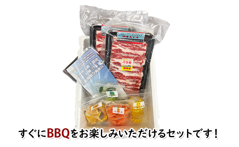 小分け 和牛 お肉 牛肉 バーベキュー おうち焼肉 BBQ ジューシー ヘルシー 赤身 コク 柔らかい 人気 産地直送 洞爺湖地場産品協同組合 送料無料 洞爺湖 