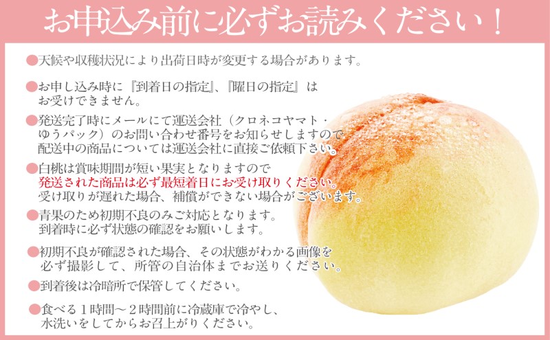 もも 2026年 先行予約 岡山匠の白桃 約1.5kg 5～6玉 犬塚農園 岡山県産 白桃 桃 モモ ギフト 初夏 みずみずしい