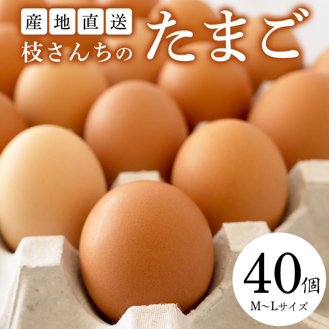 たまごさん専用 楽天市場】けいちゃんたまご 赤卵 Lサイズ 70個（約5Kg）+補償