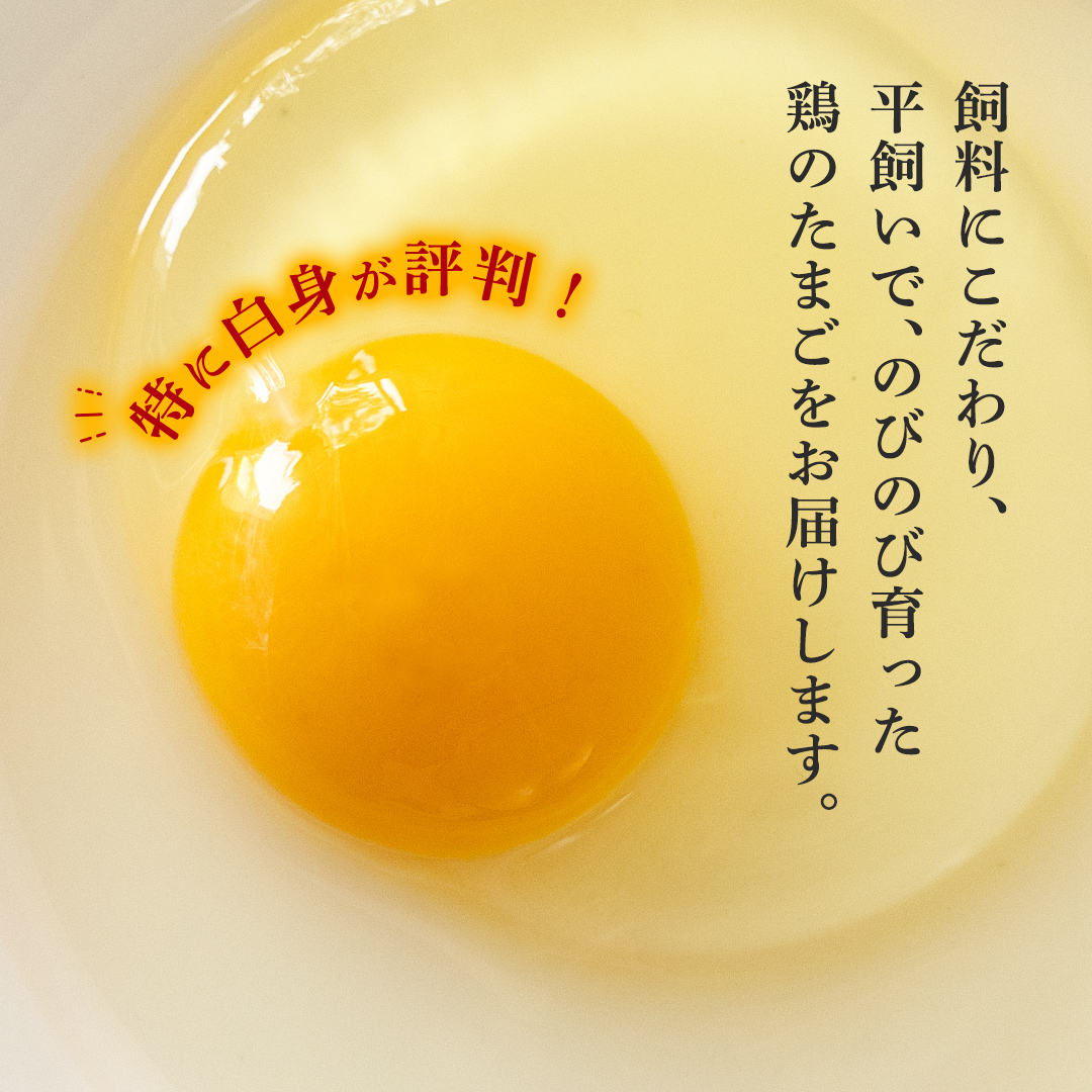 枝さんちのたまご 40個 (M～L40個) 産地直送 たまご 玉子 生卵