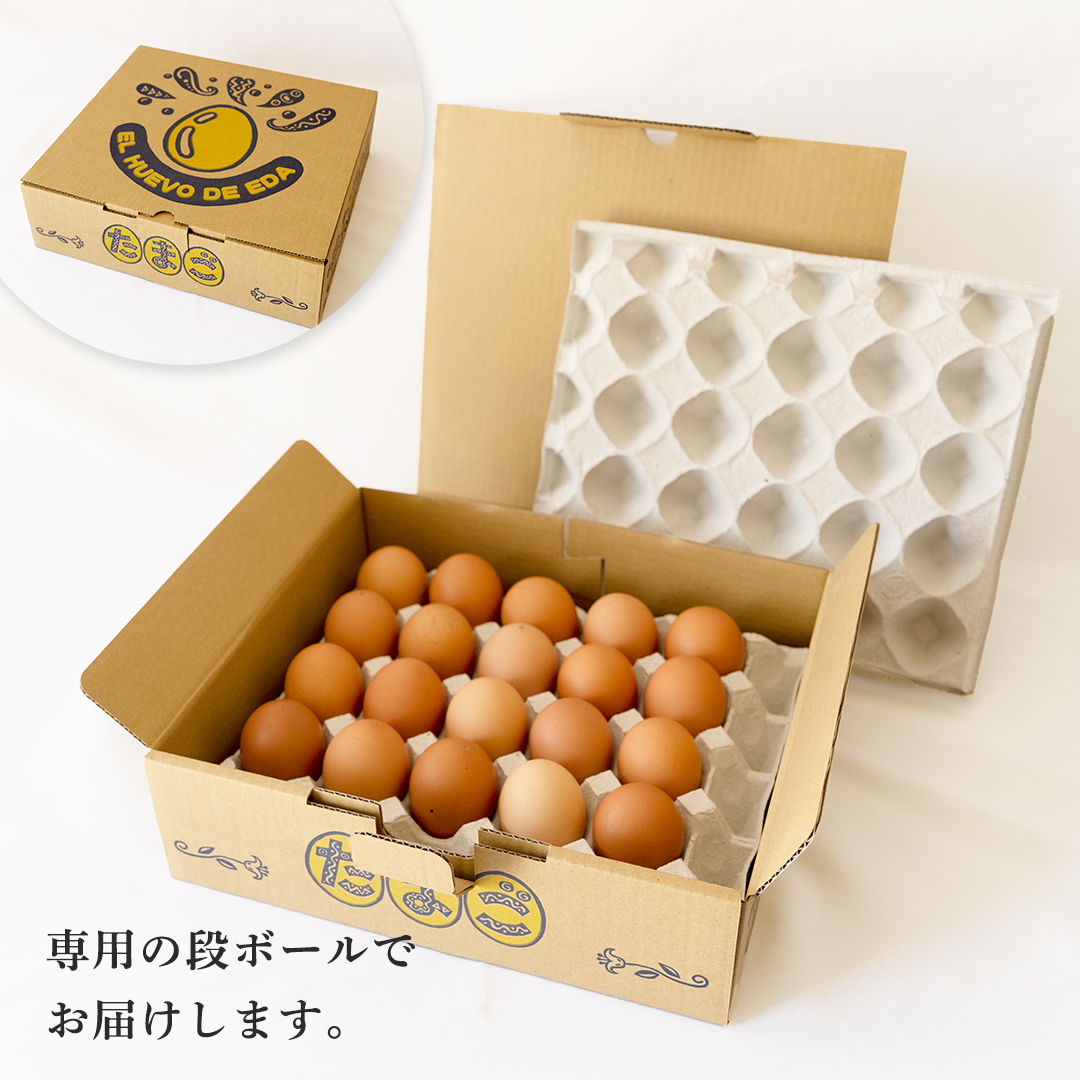売れ筋がひ新作！ 枝さんちのたまご 40個 (M～L40個) 産地直送 たまご 玉子 生卵 アクセサリー