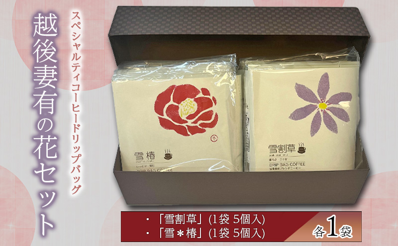 yV\szXyVeBR[q[hbvobOuzȗL̉ԁvZbg [DB2]