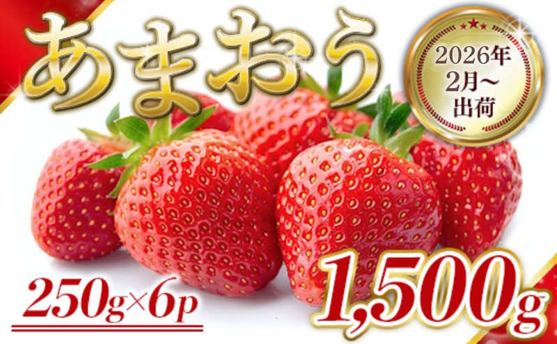 いちご 福岡県産 あまおう 1500g (250g×6パック) 先行予約 2026年2月より順次発送 果物 デザート ※配送不可：離島 