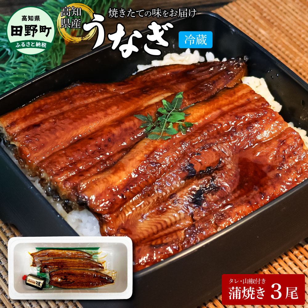 高知県田野町のふるさと納税 ～四国一小さなまち～ ヤマシン特選うなぎの蒲焼き３尾（特製タレ付き） うなぎ 鰻 ウナギ 国産 高知県産 蒲焼 かばやき 白焼き 特製タレ 冷蔵 配送 真空パック