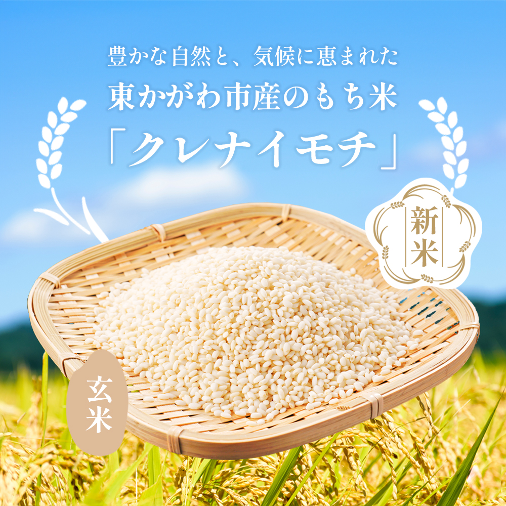 香川県東かがわ市のふるさと納税 【令和7年新米】高原さんの  もち米10kg（クレナイ）玄米 餅米 餅 お米