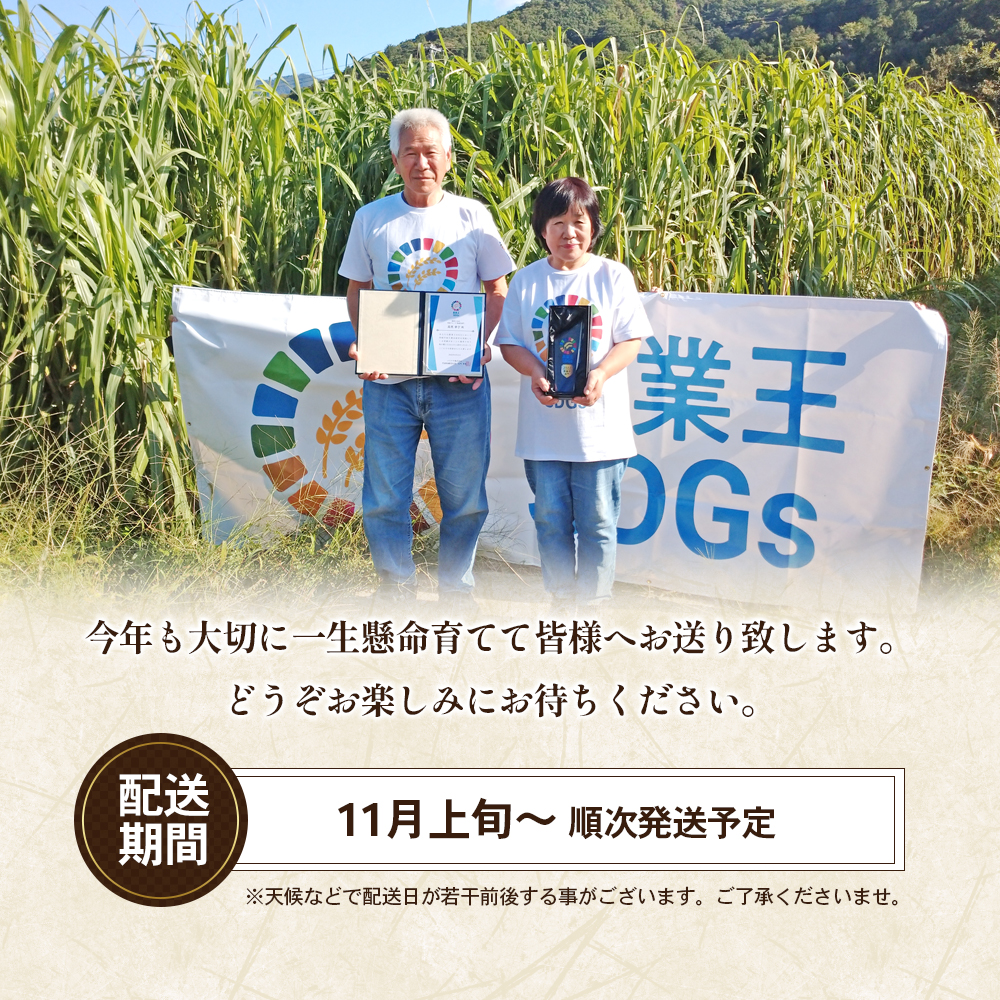 香川県東かがわ市のふるさと納税 【令和7年新米】高原さんの  もち米10kg（クレナイ）玄米 餅米 餅 お米