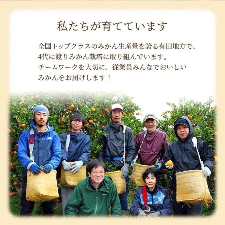 家庭用 完熟 有田みかん10kg+250g（傷み補償分）サイズ混合 ※北海道・沖縄・離島への配送不可 ※2025年11月上旬～2026年1月下旬頃に順次発送予定