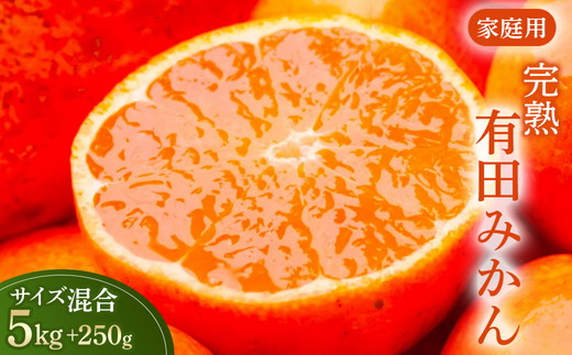 家庭用 完熟 有田みかん5kg+250g（傷み補償分）サイズ混合 ※北海道・沖縄・離島への配送不可 ※2025年11月上旬～2026年1月下旬頃に順次発送予定
