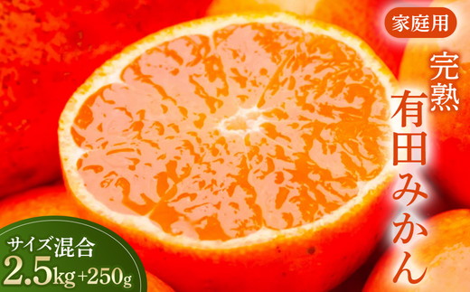 家庭用 完熟 有田みかん2.5kg+250g（傷み補償分）サイズ混合 ※北海道・沖縄・離島への配送不可 ※2025年11月上旬～2026年1月下旬頃に順次発送予定