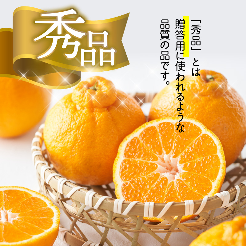 U6300_【2026年先行予約】デコポン 秀品 18玉～24玉 和歌山県有田産