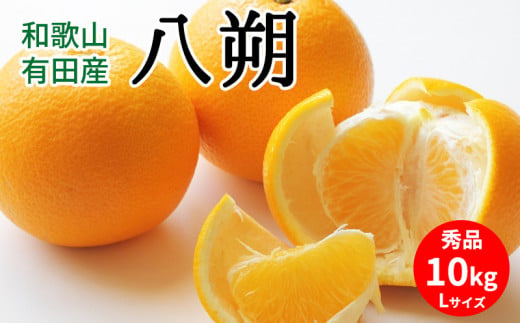 U6301_【2026年先行予約】八朔 秀品 約10kg Lサイズ 和歌山県有田産